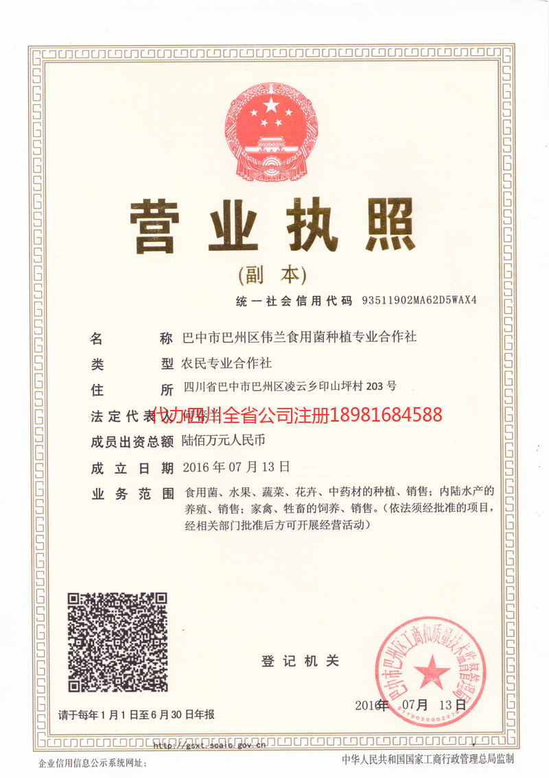 通化通化伟兰食用菌种植专业合作社